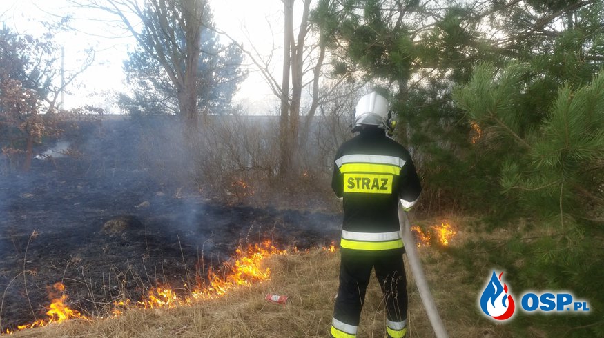 Kolejny pożar traw !!! OSP Ochotnicza Straż Pożarna