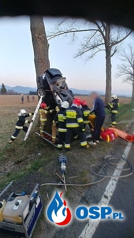 Tragiczny wypadek w Wilkanowie. Samochód zatrzymał się pionowo na drzewie. OSP Ochotnicza Straż Pożarna
