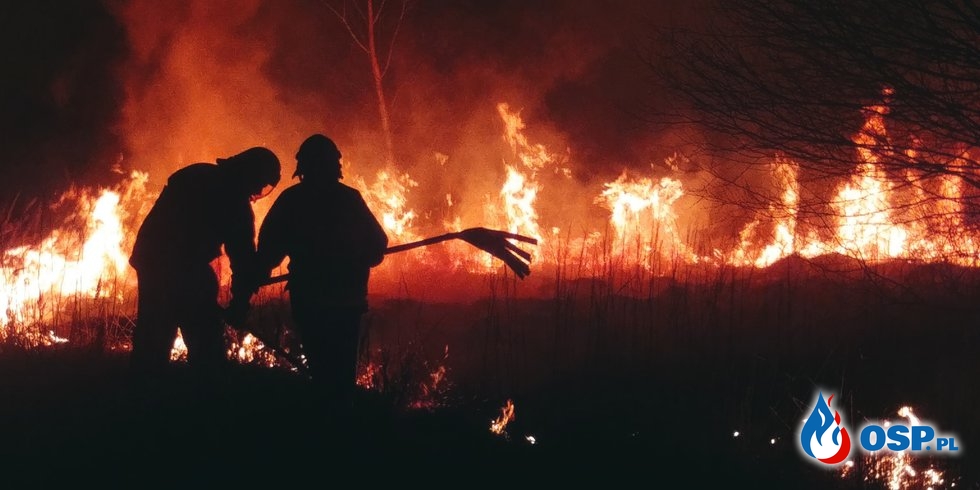 Kolejny duży pożar suchych traw w Bóbrce OSP Ochotnicza Straż Pożarna