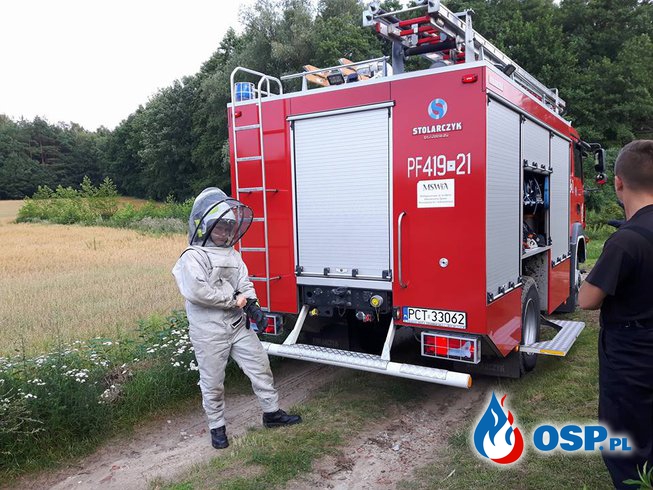 Wyjazd do owadów błonkoskrzydłych OSP Ochotnicza Straż Pożarna