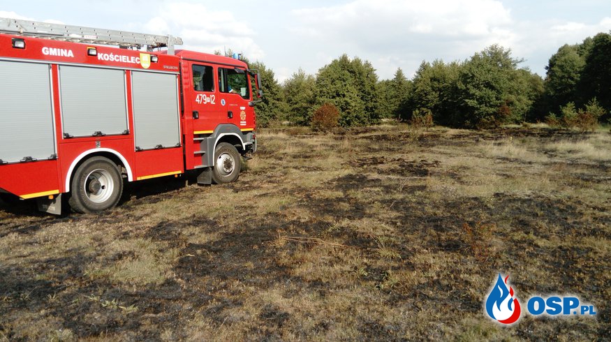 Pożar suchej trawy w Ruszkowie Pierwszym! OSP Ochotnicza Straż Pożarna