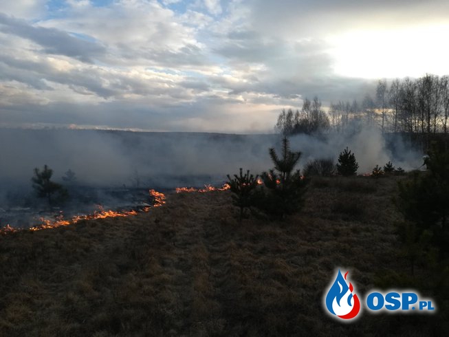 Duży pożar i wypadek OSP Ochotnicza Straż Pożarna
