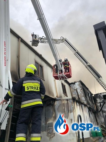Najnowsze informacje po pożarze hali produkcyjnej na Pomorzu. W akcji ponad 200 strażaków z 3 województw. OSP Ochotnicza Straż Pożarna
