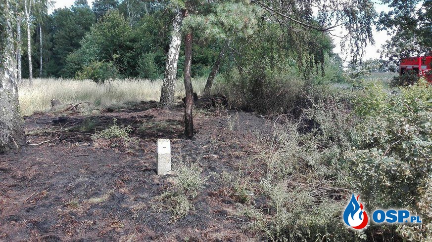 Rusiborek- pożar poszycia leśnego OSP Ochotnicza Straż Pożarna