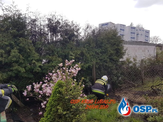 Załączenie czujki tlenku węgla w mieszkaniu oraz pożar trawy i krzewów ogrodowych OSP Ochotnicza Straż Pożarna