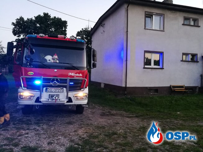 Usuwanie dwóch gniazd szerszeni i os, Barcino 25-07-2018 OSP Ochotnicza Straż Pożarna