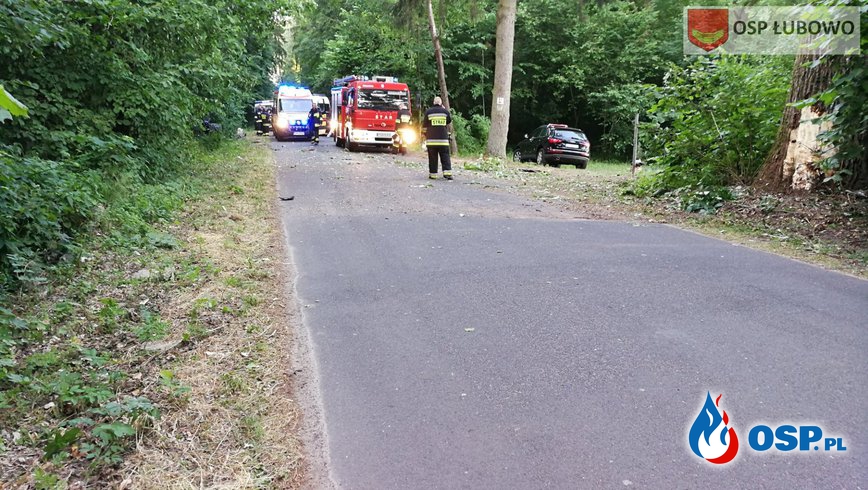 Volkswagen uderzył w drzewo. 5 osób zostało rannych w tym 4 dzieci. OSP Ochotnicza Straż Pożarna