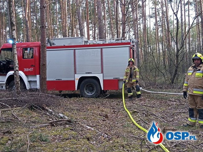 Pożar ścioły leśnej OSP Ochotnicza Straż Pożarna