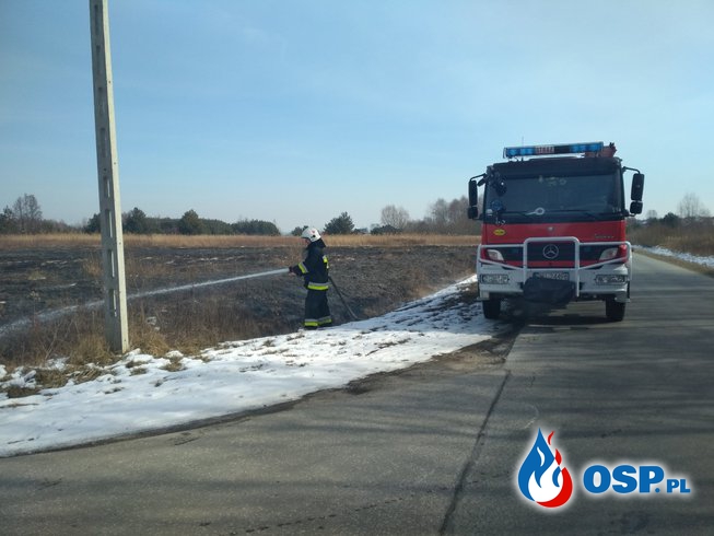 Pożar nieużytków w Przecławiu przy ul.Weneckiej. OSP Ochotnicza Straż Pożarna