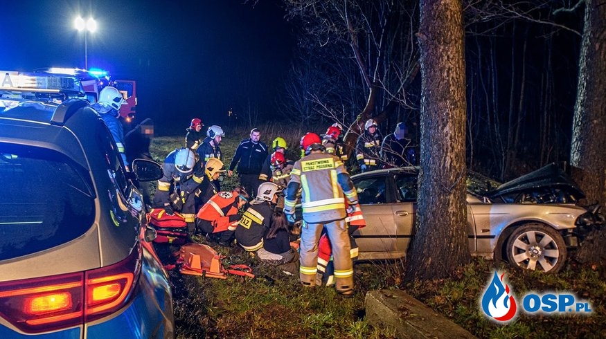 BMW uderzyło w drzewo, 6 osób poszkodowanych. Wśród rannych są dzieci. OSP Ochotnicza Straż Pożarna