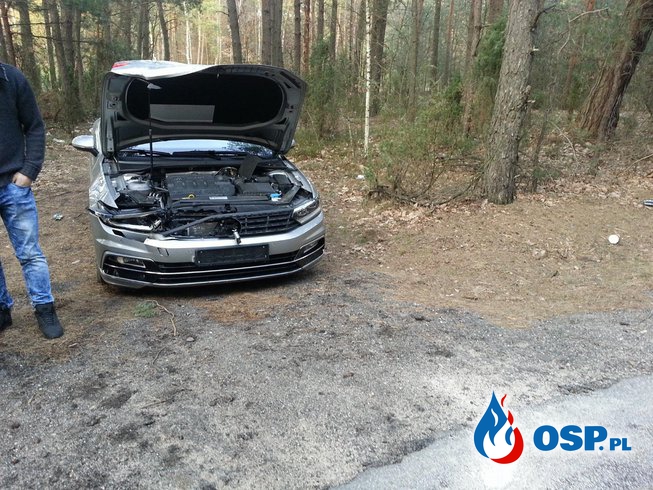Wypadek z udziałem sarny OSP Ochotnicza Straż Pożarna