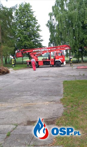 Pochylone drzewo na terenie szkoły w Izbicku OSP Ochotnicza Straż Pożarna