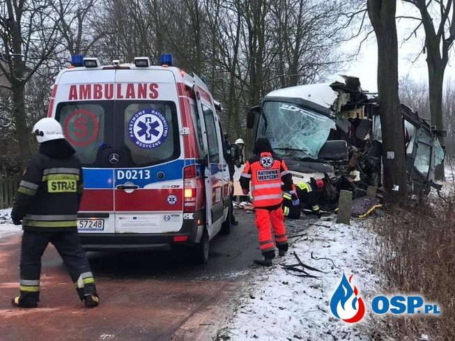 Wypadek autobusu z dziećmi. 9 osób trafiło do szpitala. OSP Ochotnicza Straż Pożarna