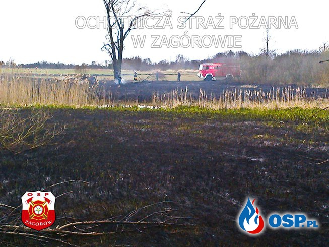 Pożar traw. OSP Ochotnicza Straż Pożarna