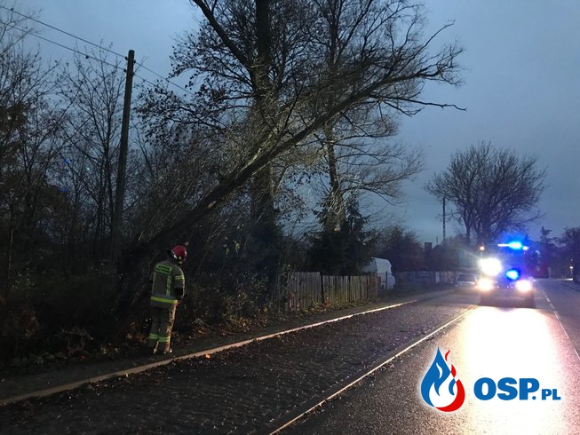 207/2020 Niebezpiecznie złamane drzewo przy drodze OSP Ochotnicza Straż Pożarna