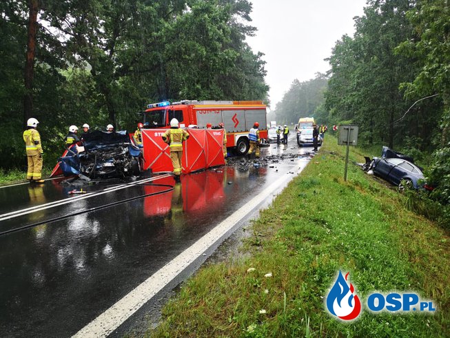 Tragiczny wypadek na drodze relacji Tarnobrzeg - Stalowa Wola. Zginęło młode małżeństwo, wypadek przeżyło ich dziecko. OSP Ochotnicza Straż Pożarna