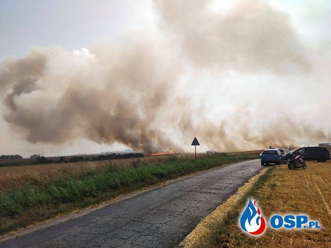 149/2021 Ogromny pożar pola w Mirowie OSP Ochotnicza Straż Pożarna