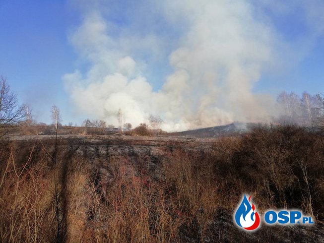 Duży pożar traw w Żarkach! OSP Ochotnicza Straż Pożarna