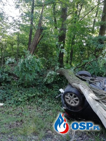 Drzewo złamało się i przygniotło samochód po dachowaniu. Kierowca był pijany. OSP Ochotnicza Straż Pożarna