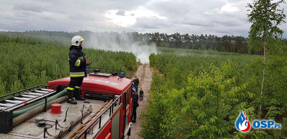 Szkolenie (Dysponowanie sił i środków do pożaru lasu) OSP Ochotnicza Straż Pożarna