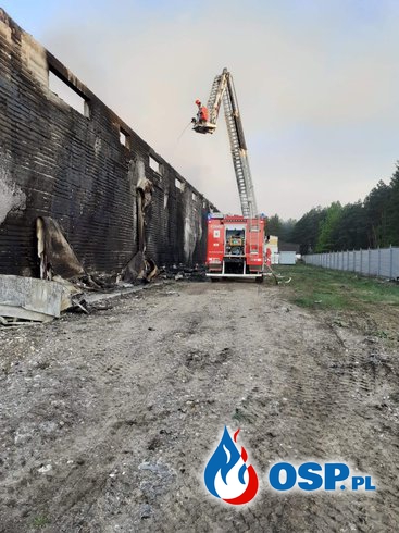 Blisko 100 strażaków gasiło pożar w Krasocinie. Spłonęły dwie hale produkcyjne. OSP Ochotnicza Straż Pożarna