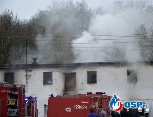 Pożar gęsiarni w Wilkowie OSP Ochotnicza Straż Pożarna