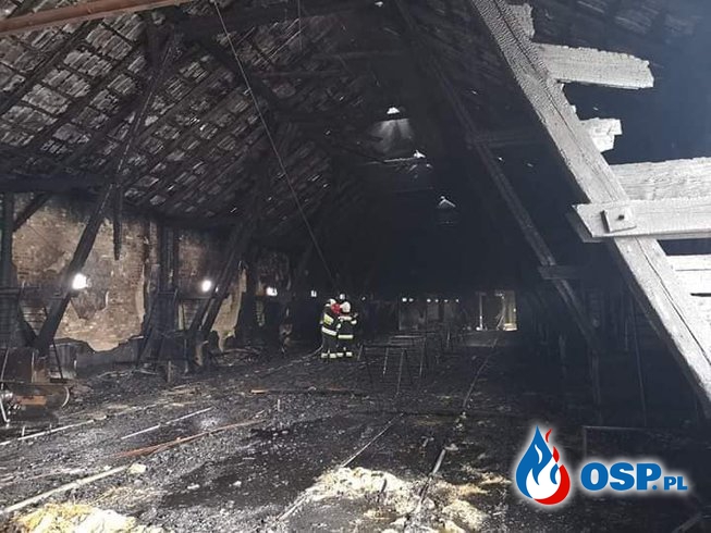 40 tysięcy kurcząt spłonęło w pożarze w Perzynach. W akcji 11 zastępów strażaków. OSP Ochotnicza Straż Pożarna