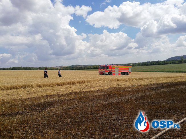 Pożar zboża na granicy PL-CZ OSP Ochotnicza Straż Pożarna
