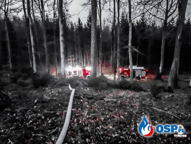 Pożar lasu 02.04.19 i brak karetki 03.04.19 OSP Ochotnicza Straż Pożarna