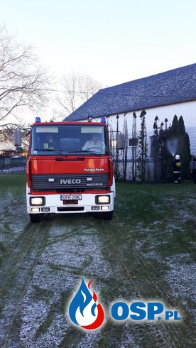 Pożar drzew w miejscowości Browiniec Polski OSP Ochotnicza Straż Pożarna