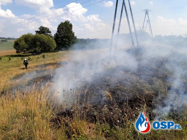 120/2020 Pożar nieużytków przy nasypie kolejowym OSP Ochotnicza Straż Pożarna