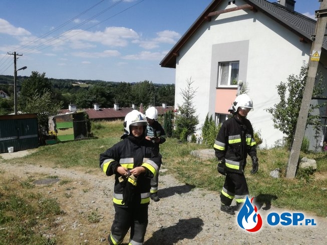 Pożar śmieci w zaroślach - 3 lipca 2019r. OSP Ochotnicza Straż Pożarna