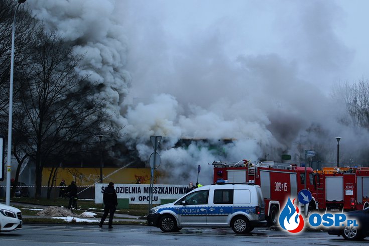 Pożar Żabki w Opolu. Ogień zajął cały sklep. OSP Ochotnicza Straż Pożarna