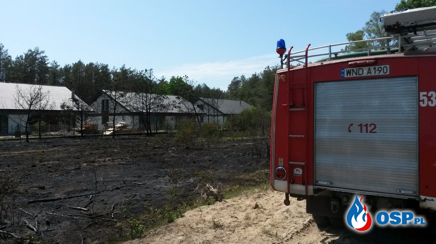 Pożar zarośli i kolizja trzech samochodów osobowych OSP Ochotnicza Straż Pożarna