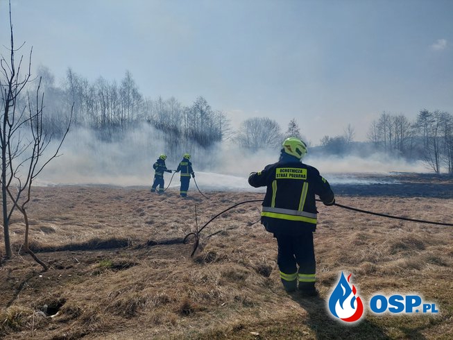 Pożar suchych traw przy ul. Karpackiej w Zręcinie OSP Ochotnicza Straż Pożarna