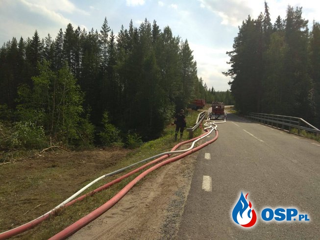 Kolejna doba walki z pożarem w Szwecji. Najnowszy raport Komendy Głównej PSP. OSP Ochotnicza Straż Pożarna