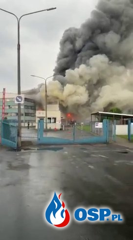 Pożar hali produkcyjnej w Głownie. W akcji 16 zastępów strażaków. OSP Ochotnicza Straż Pożarna