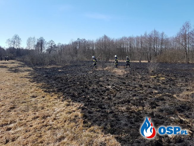 Pożar trawy w Żurawieńcu OSP Ochotnicza Straż Pożarna