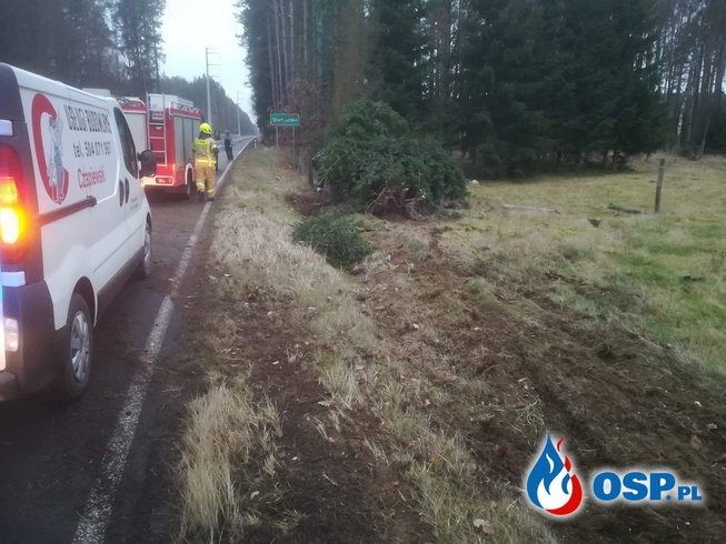 Volkswagen wypadł z drogi i dachował, ścinając dwa drzewa OSP Ochotnicza Straż Pożarna
