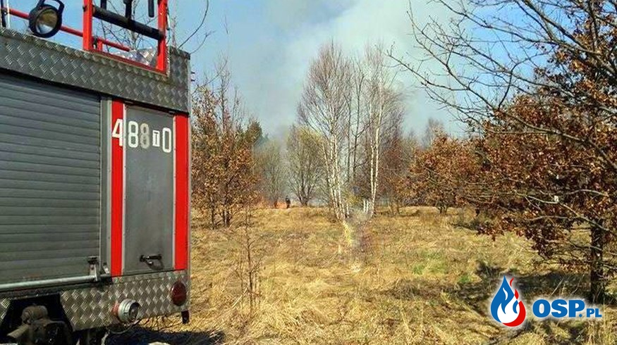 ---Pożar traw i poszycia leśnego---2 zdarzenia---01.04.17 OSP Ochotnicza Straż Pożarna
