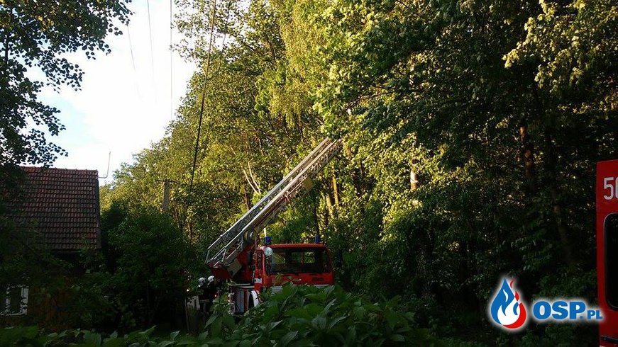 Drzewo na drodze w Kłaju OSP Ochotnicza Straż Pożarna