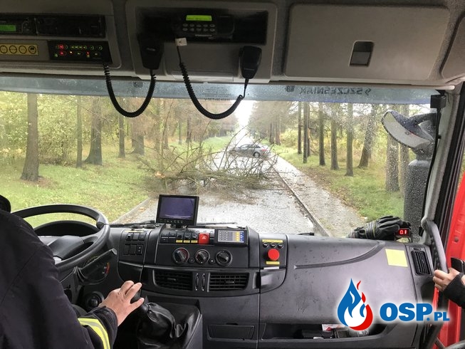 149-153/2019 Usuwanie skutków silnego wiatru OSP Ochotnicza Straż Pożarna