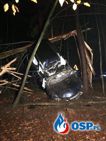 Lexus koziołkując złamał kilka drzew. Kierowca zginął. OSP Ochotnicza Straż Pożarna