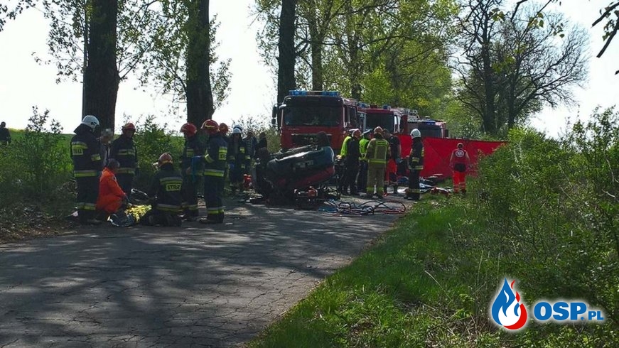 Dwie osoby zginęły w wypadku pod Kutnem. Samochód dachował i uderzył w drzewo. OSP Ochotnicza Straż Pożarna