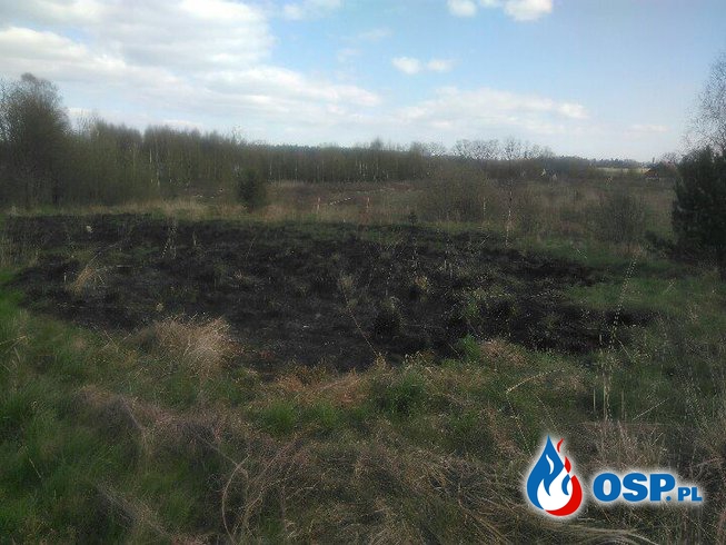 Pozar suchej trawy w Nagladach OSP Ochotnicza Straż Pożarna