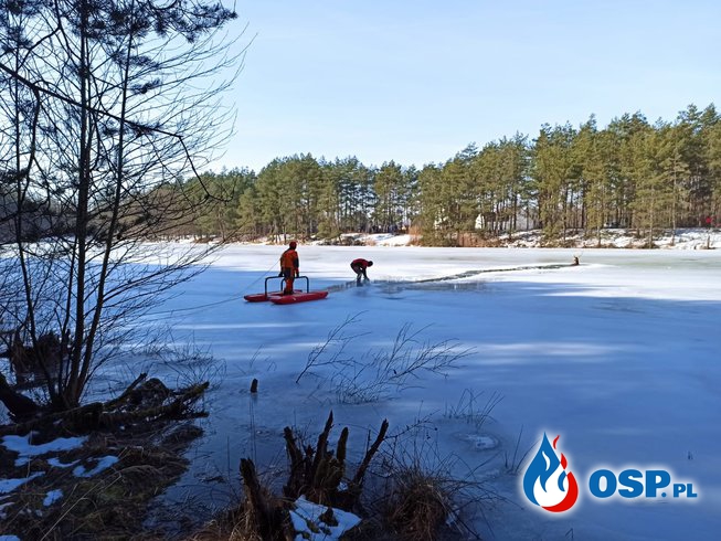 Strażacy ratowali jelenia, pod którym załamał się lód OSP Ochotnicza Straż Pożarna