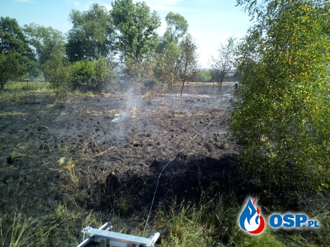 Dwa niebezpieczne pożary traw i nieużytków - 1 lipca 2019r. OSP Ochotnicza Straż Pożarna