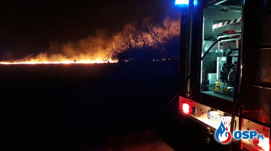 Duży pożar traw pomiędzy Zręcinem, Chorkówką i Żeglcami OSP Ochotnicza Straż Pożarna