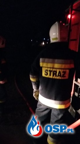 Pożar trawy w miejscowości Jeżewo OSP Ochotnicza Straż Pożarna