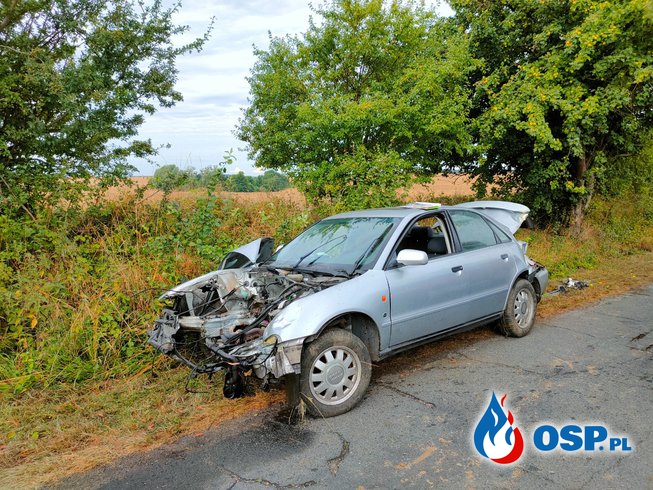 166/2021 Kolizja auta z drzewem - siła uderzenia wyrwała silnik OSP Ochotnicza Straż Pożarna